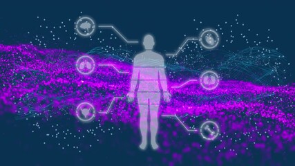 Animation of human brain and black balloons human body scientific data processing - Powered by Adobe