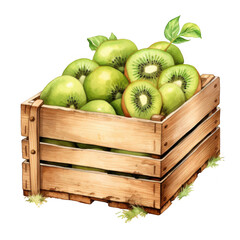 Fresh Kiwi Fruits in Wooden Crate Watercolor Clip Art Transparent Background