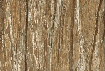Detailed close-up texture of weathered wood grain with natural imperfections and variations in tone	