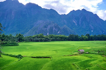 Rice Paddy Farm in Laotian Mountain Valley Landscape