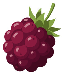 A cartoon-style illustration of a cluster of ripe, dark purple blackberries with green leaves and stem.