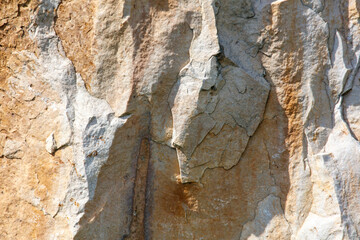 A rock with a rough surface