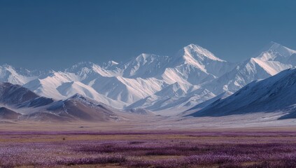 Snowy mountain range over a vast purple-flowered plain