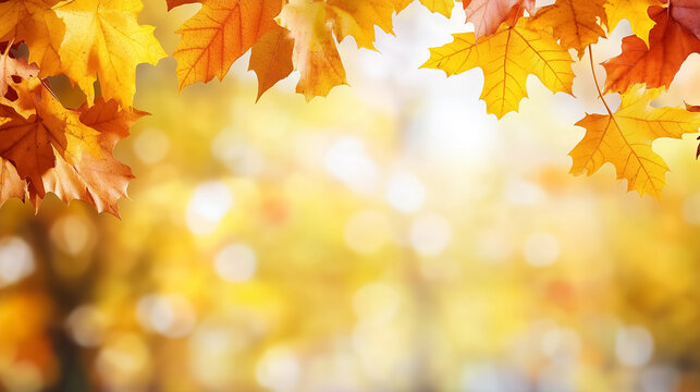 Vibrant autumn leaves sway gently in the breeze, showcasing warm hues of orange and yellow. Blurred bokeh background adds depth. Concept of seasonal change, nature appreciation, outdoors