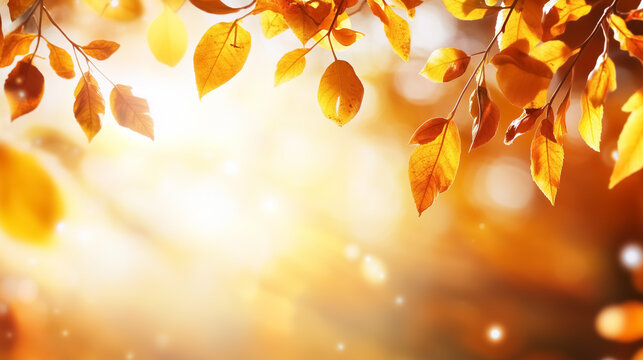 Golden autumn leaves shimmer in sunlight, creating a warm and inviting ambience. Soft blurred background adds depth to scene. Concept of seasonal decor, nature appreciation, environmental awareness