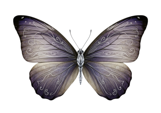 Ethereal butterfly with parchment-like deep indigo and violet wings, silver veins, crystalline body, spread open on a transparent background, soft studio light, fine art concept of timeless beauty