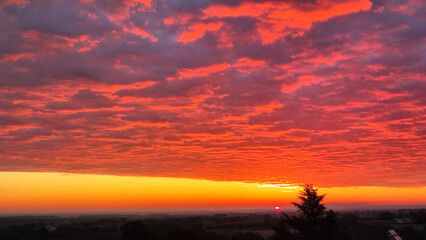 colorful sunset sunrise sky over the Danube river and city of Novi Sad