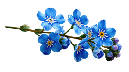 Delicate Forget-Me-Nots Bloom: A close-up shot captures a graceful sprig of forget-me-nots, their delicate blue petals and bright yellow centers evoking feelings of remembrance and enduring beauty.