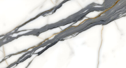 white marble with black and gold veins, elegant natural stone, polished slab for minimalist countertops, sophisticated wall features, and sleek interior design


