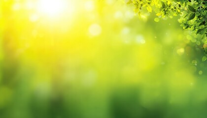 Obraz premium Sunlight filtering through leafy branches creating a bright, vibrant, and serene outdoor scene with bokeh effect