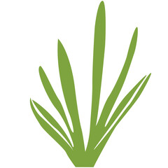 Flat vector illustration of long grass leaves. Suitable for natural landscape, ecology projects, outdoor decoration, and green background.