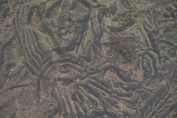 texture of the sand