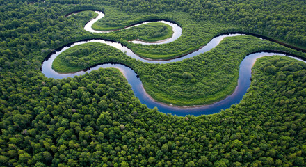 Stunning aerial view of a winding river flowing through a lush, dense forest landscape