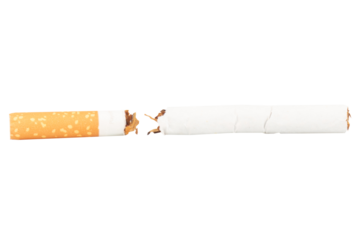 Broken Cigarette with Tobacco Spilling Out on White Background
