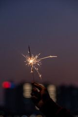 Sparkling Fairy Firework Long Exposure Photography