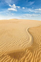Desert Wilderness Arid Sand Dunes Landscape