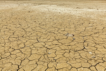 Cracked Earth Surface Abstract Pattern Close Up