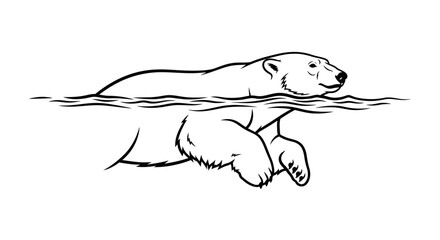 Obraz premium polar bear swimming in water, arctic animal, wildlife, nature illustration, black and white line art