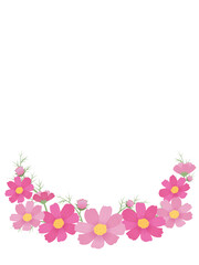 ピンクのコスモスのフレーム