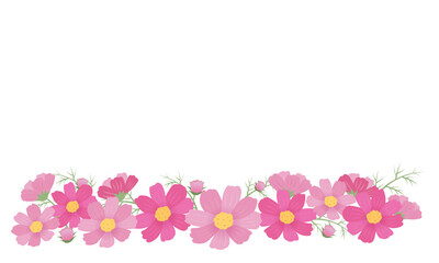 ピンクのコスモスのフレームイラスト