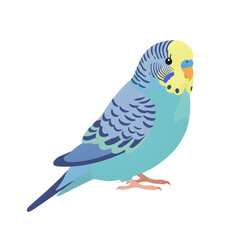 A vibrant blue and yellow budgerigar perches, used for companionship and avian beauty.