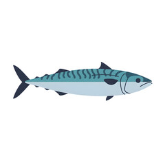 Obraz premium Illustration of a mackerel, a marine fish species often used for food, depicting its distinct stripes and streamlined body shape