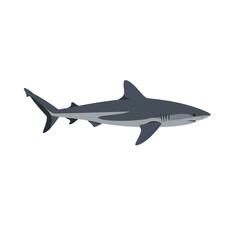 Obraz premium Illustration of a shark used for ocean life representation, underwater ecosystem depiction, or educational marine biology material