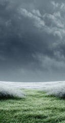 Vast grassy field under a stormy sky