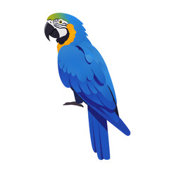 Obraz premium A colorful parrot perched and displaying its vibrant plumage for avian enthusiasts and nature lovers to admire its beauty