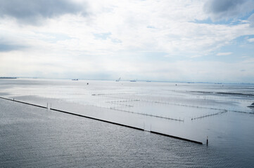 海苔　養殖場　木更津
