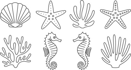 Outline vector illustrations of seashells starfish and seahorses
