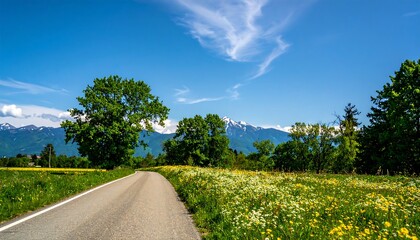 Country road leading to mountains