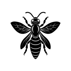 Dangerous Asian Giant Hornet Illustration  