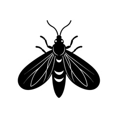Glowing Common Eastern Firefly Artwork  