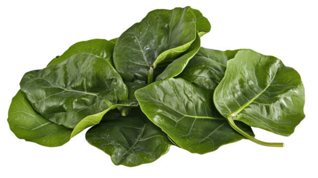 Vibrant Green Fig Leaves Isolated on Transparent Background for Natural Botanical Use
