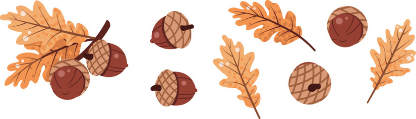Acorns and Oak Leaves Flat Vector Set Isolated on White. Botanical Oak Branch Composition, Autumn Decor, Educational Materials, and Print Projects. Ideal for Stickers, Logos, and Seasonal Branding