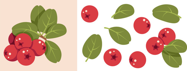 Lingonberry Design Elements Set Flat Vector Illustration. Berries and Leaves Isolated on White. Ideal for Scandinavian Themes, Autumn Decor, Eco Branding, Pattern, Print, Card Making, Poster, Sticker