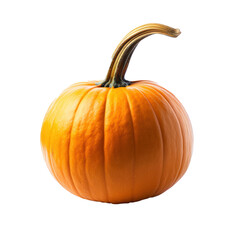 Obraz premium High-resolution image of a bright orange pumpkin with stem, isolated on a transparent background for easy graphic or design use. 