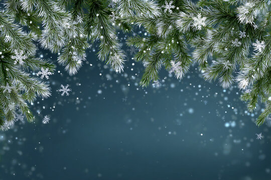 Snow covered pine branches snowflakes winter background design