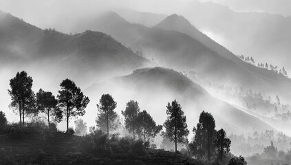 Fototapeta premium Misty mountain range, trees silhouetted against fog