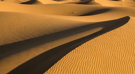 sand dunes in the desert