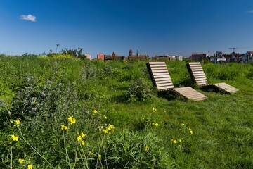 Sunny day at a park featuring wooden lounge chairs surrounded by vibrant grass and wildflowers in...