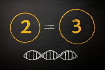 Chalkboard equation with DNA.  Two equals three.  Scientific concept