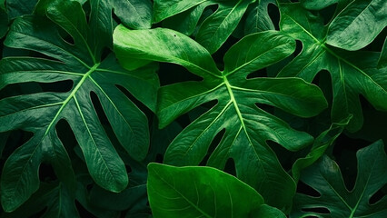 Jungle-Inspired Green Foliage Frame