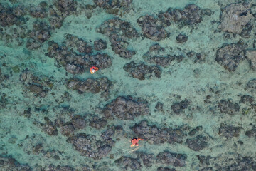 Aerial top-down view of a vibrant ocean reef with crystal turquoise water, where people are swimming and exploring
