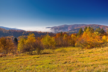 Na górze Malnik nad Muszyną w piękny, jesienny poranek. Widok w kierunku południowo-zachodnim na Magurę Kurcinską © rogozinski