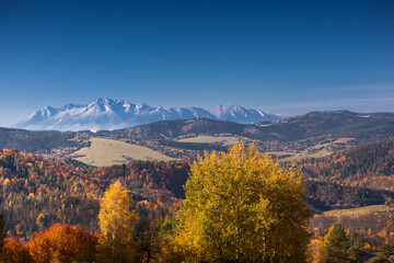 Na górze Malnik nad Muszyną w piękny, jesienny poranek. Widok w kierunku zachodnim na Tatry © rogozinski