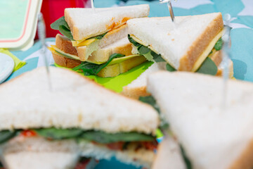 Variety of triangular sandwiches with fresh fillings for catering event