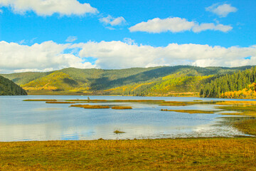 Golden forests surround serene alpine lakes, reflecting clouds Pudacuo National Park, Yunnan, China, Shangri-La, lake