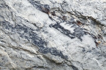 Fototapeta premium Gray stone texture with dark veining